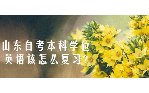 山東自考本科學(xué)位英語(yǔ)該怎么復(fù)習(xí)?