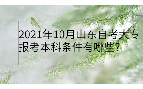 2021年10月山東自考大專報考本科條件有哪些?