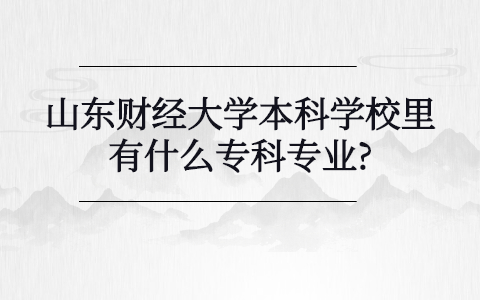 山東財經(jīng)大學本科學校里有什么自考?？茖I(yè)?