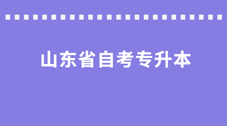 山東省自考專升本