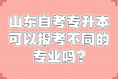 山東自考專升本可以報考不同的專業(yè)嗎?