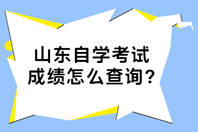 山東自學(xué)考試成績(jī)?cè)趺床樵?xún)?