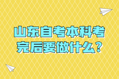 山東自考本科考完后要做什么?