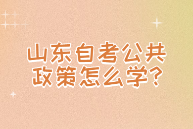 山東自考公共政策怎么學(xué)?