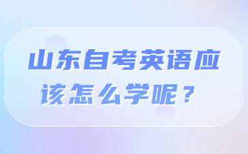 山東自考英語應(yīng)該怎么學(xué)呢?