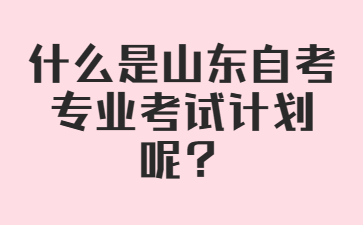 什么是山東自考專業(yè)考試計(jì)劃呢?